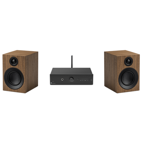  - Black / Walnut